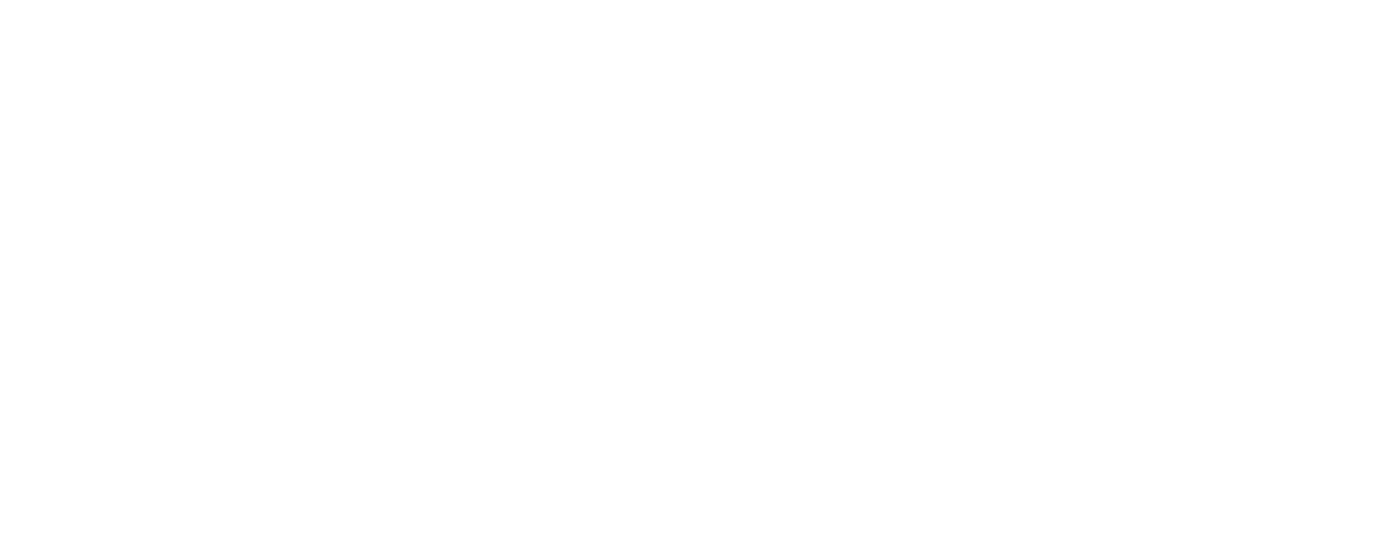 designorio-logo-full-white